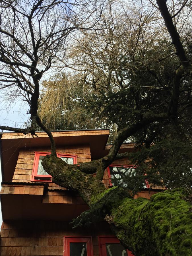 Almabosque Cabanas Пуерто-Варас Екстер'єр фото