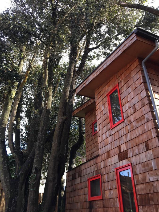 Almabosque Cabanas Пуерто-Варас Екстер'єр фото